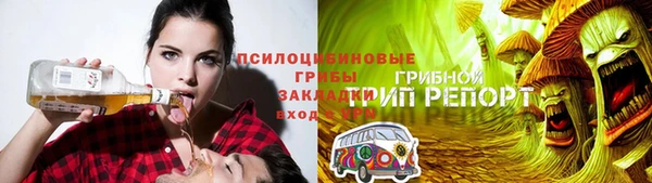 сатива Бородино