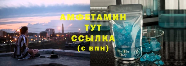 гидра Богданович