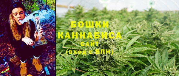 сатива Бородино