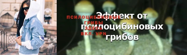 гидра Богданович