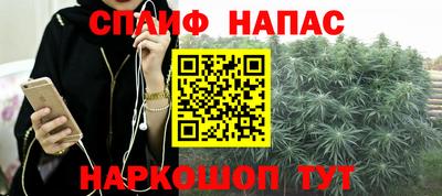 крисы Керчь