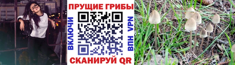 Галлюциногенные грибы GOLDEN TEACHER  hydra как войти  Буйнакск 