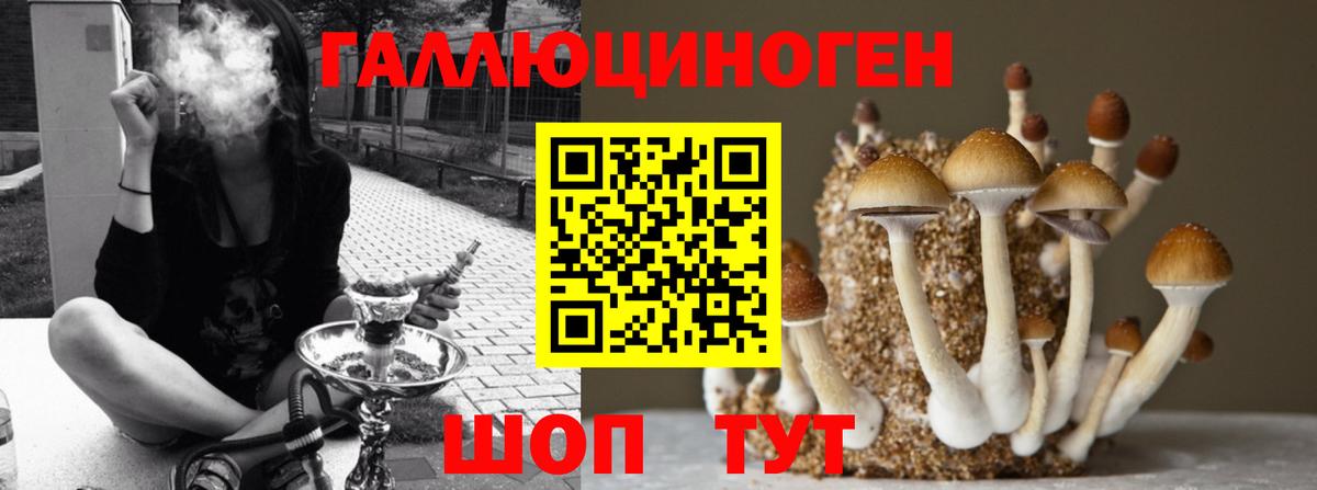 Псилоцибиновые грибы мухоморы Буйнакск